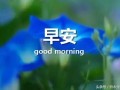 早安语录短视频制作，早安语录正能量的句子