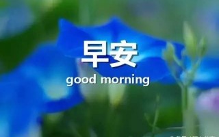 早安语录短视频制作，早安语录正能量的句子